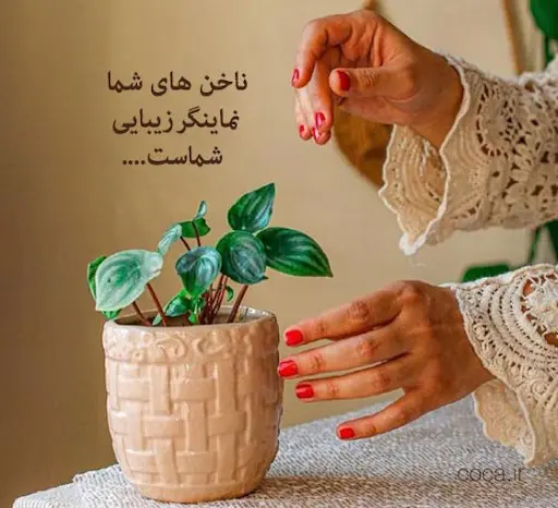پیج ناخن کار حرفه ای